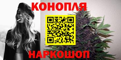 крисы Ливны